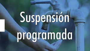 Suspensi&oacute;n programada