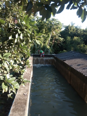 T&eacute;cnicos de CORAMON acondicionan toma de agua