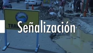 Se&ntilde;alizaci&oacute;n